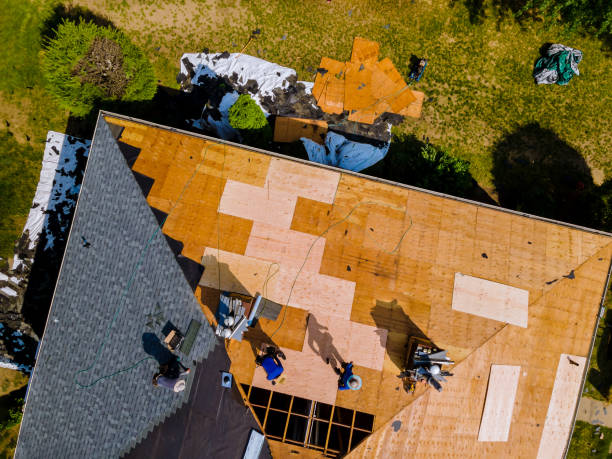 Best Commercial Roofing Services  in Toledo, OH