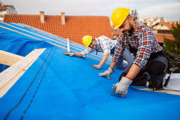 Quick and Trustworthy Emergency Roof Repair Services in Toledo, OH