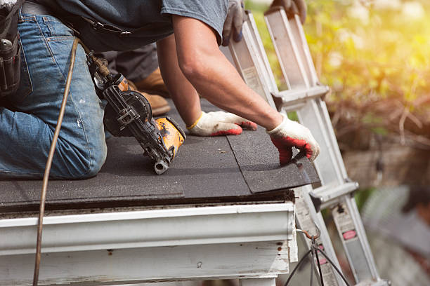 Best Roof Repair Services  in Toledo, OH